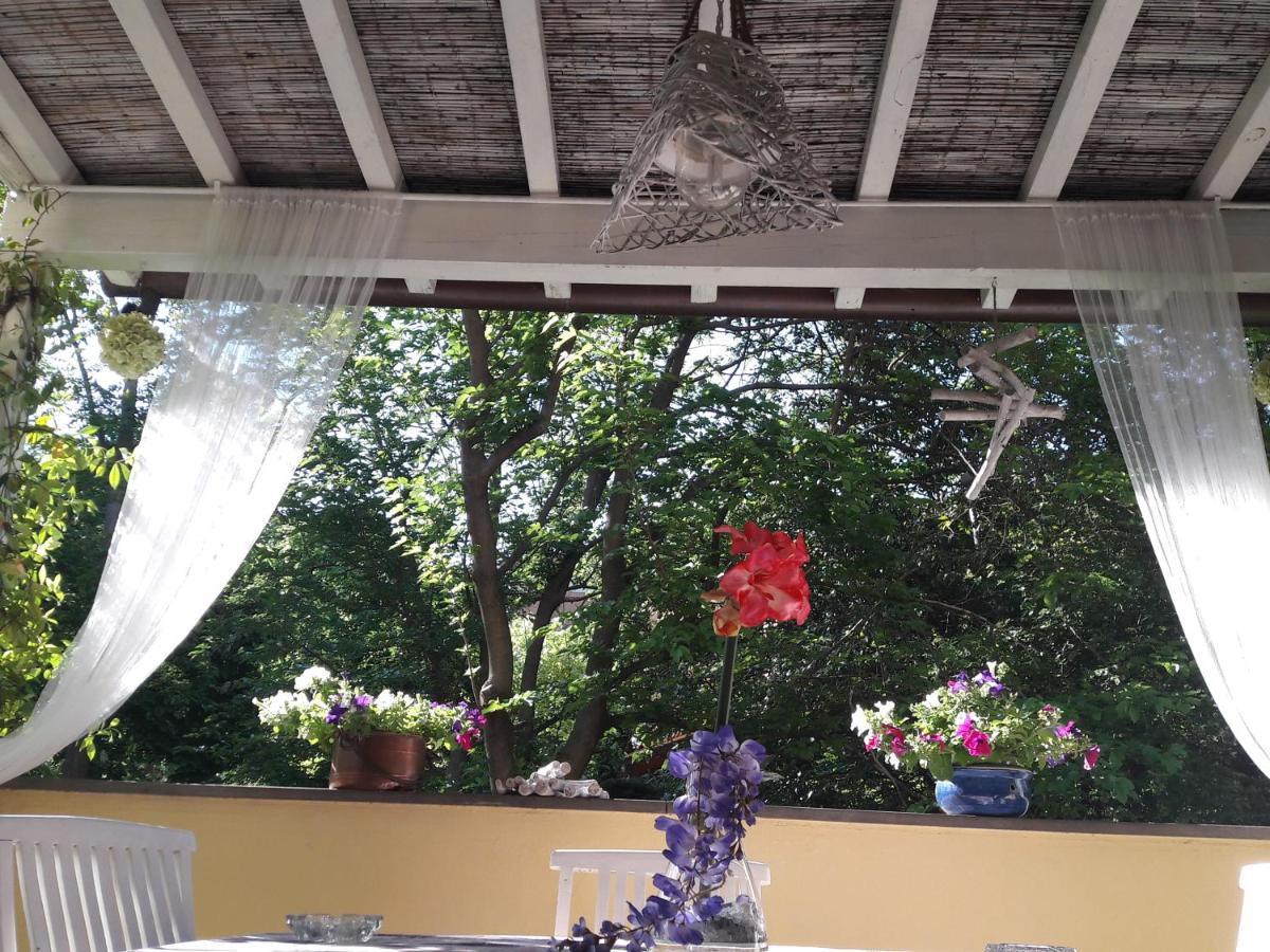 Stella Del Mar Bed & Breakfast Bolonya Dış mekan fotoğraf