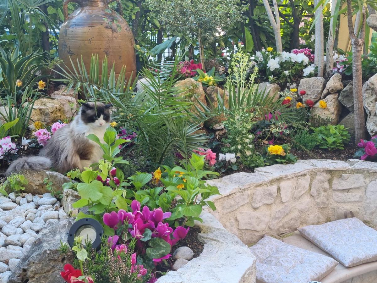 Stella Del Mar Bed & Breakfast Bolonya Dış mekan fotoğraf