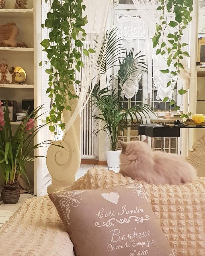 Stella Del Mar Bed & Breakfast Bolonya Dış mekan fotoğraf